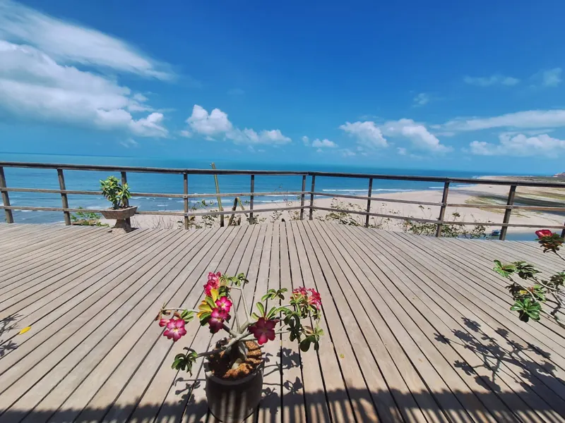 Deck de madeira com flor e o mar ao fundo